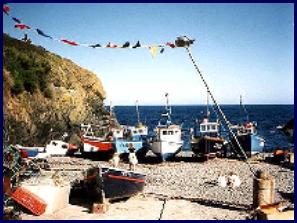 llcadgwith2