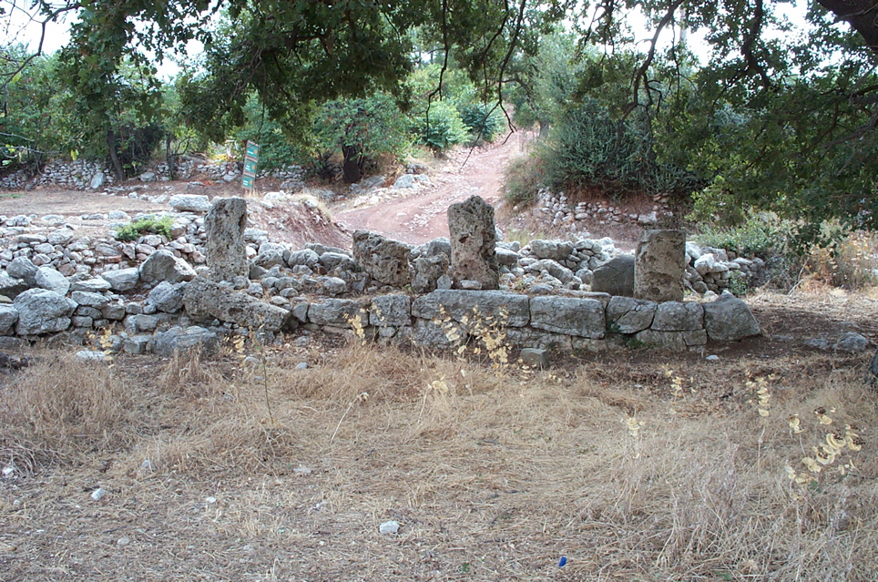 DCP_4057.JPG