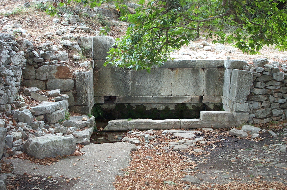 DCP_4058.JPG
