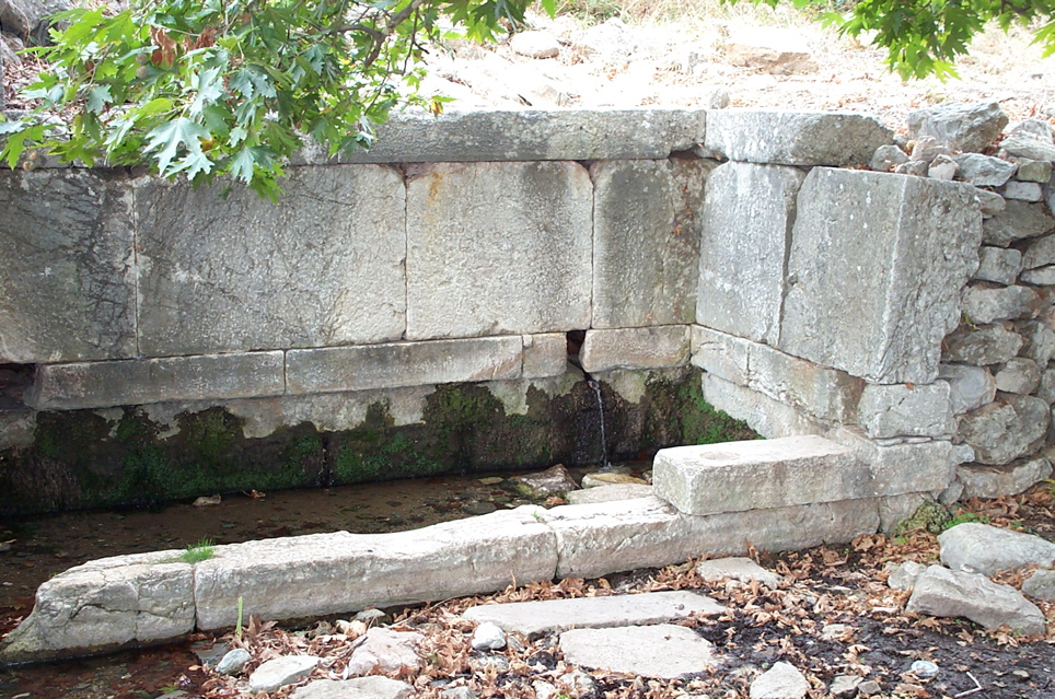 DCP_4059.JPG