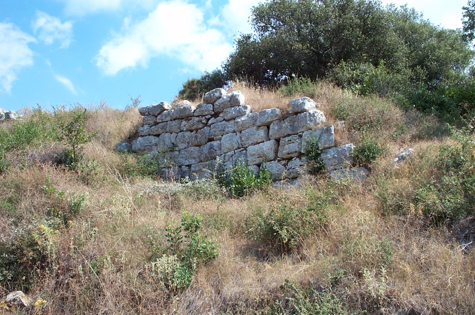 DCP_4046.JPG