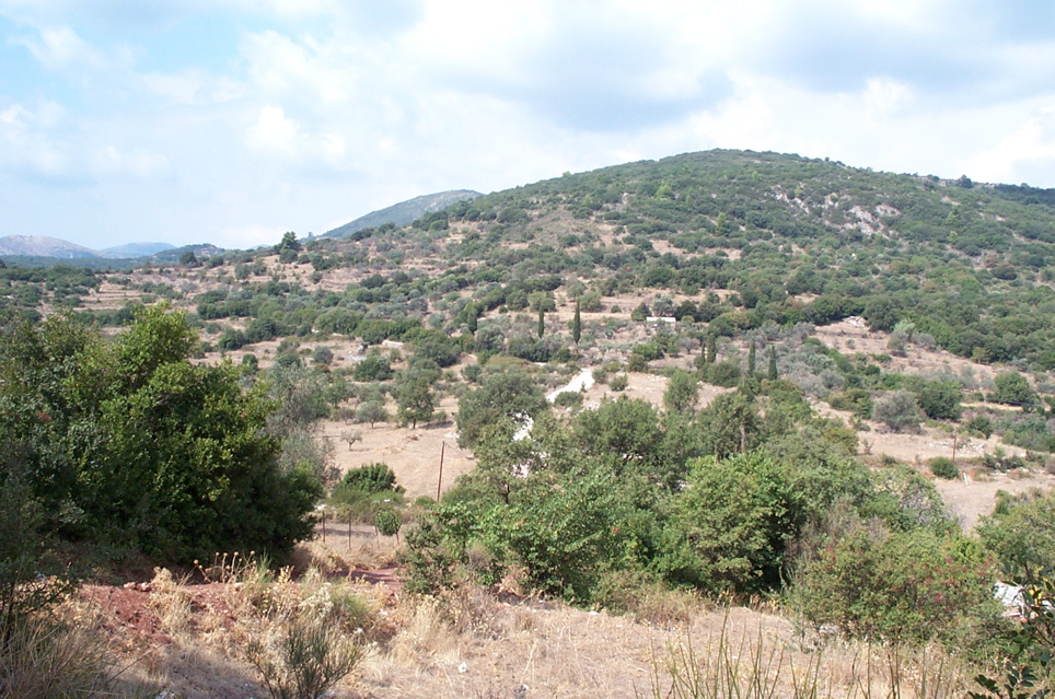 DCP_4048.JPG