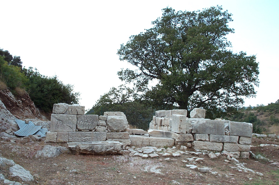 DCP_4050.JPG