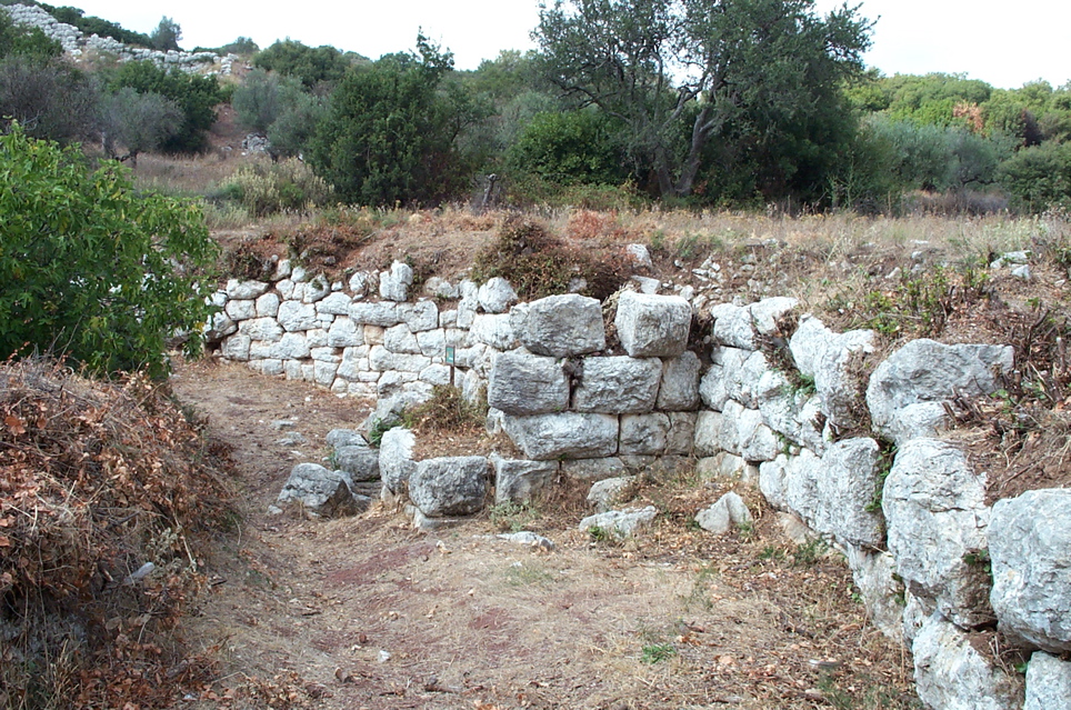 DCP_4053.JPG