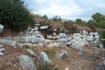 DCP_4054.JPG