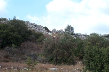 DCP_4055.JPG