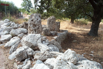 DCP_4056.JPG