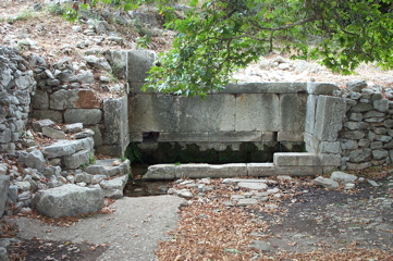 DCP_4058.JPG