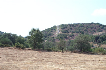 DCP_4047.JPG
