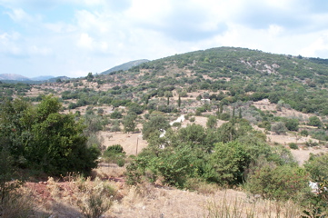 DCP_4048.JPG