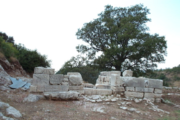 DCP_4050.JPG