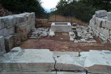 DCP_4052.JPG