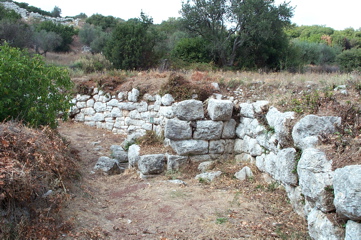 DCP_4053.JPG